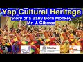 Story of a Baby Born Monkey, Yap