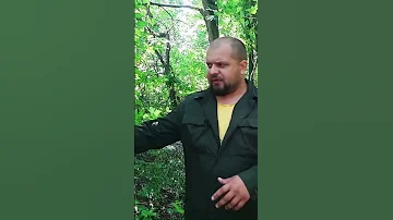 Если на вас набросилась змея