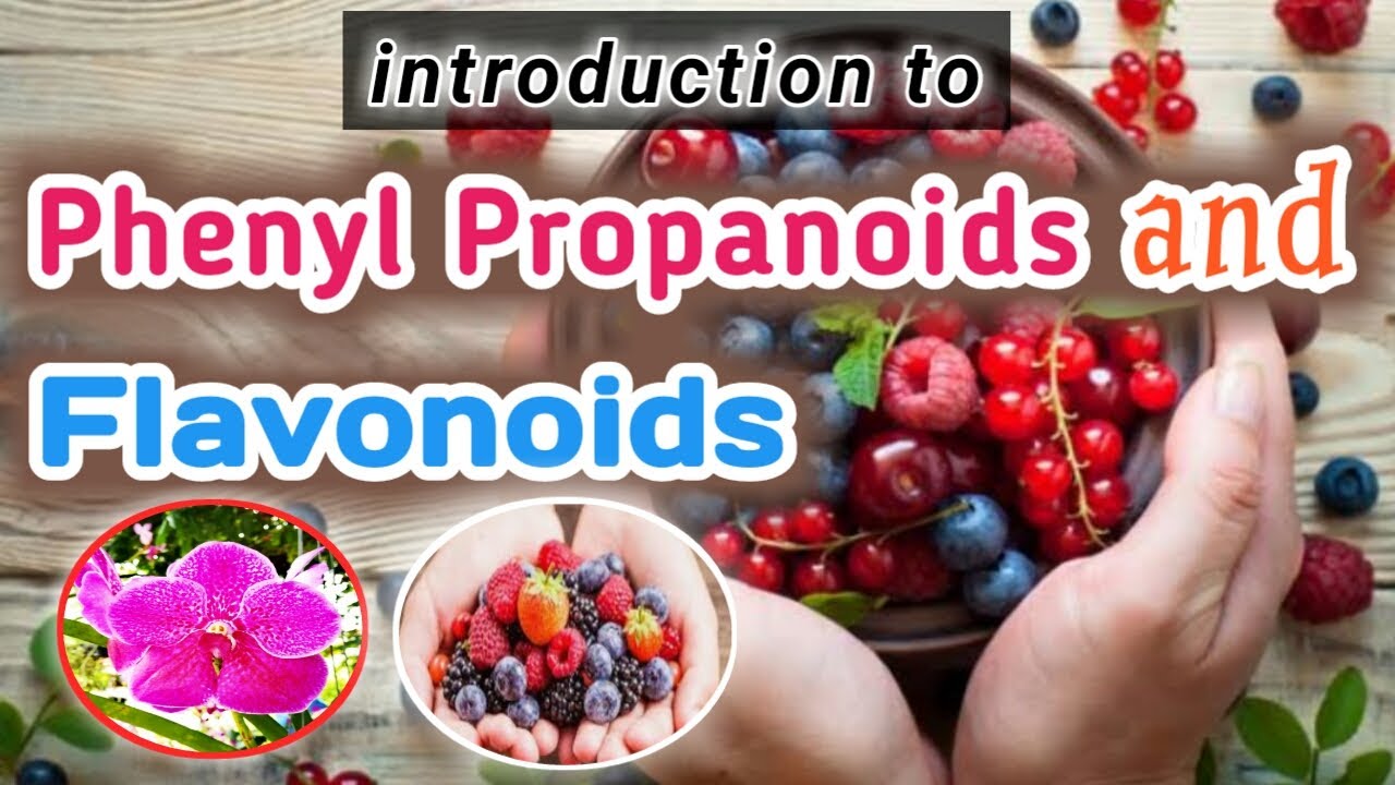 Phenyl Propenoids and Flavonoids | Pharmacognosy