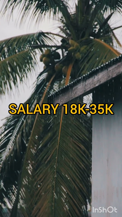 Download lagu whatsapp me:8075890063 #music #oldies #sad #anime #food #love #cover #song #job #bgm