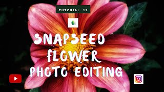 HOW TO EDIT PHOTOS IN SNAPSEED? SNAPSEED PHOTO EDITING TUTORIAL | NATURE PHOTOGRAPHY EDITING TIPS screenshot 5