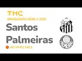 Santos x Palmeiras AO VIVO - Brasileirão 13ª rodada