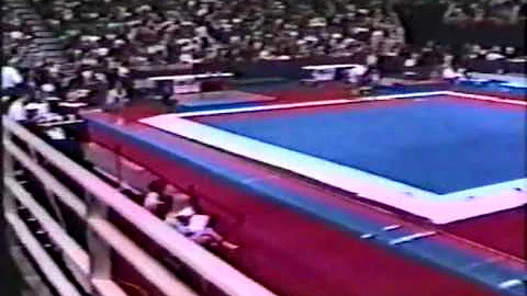 21st AA Jessica Washburn V   1993 USA Gymnastics C...