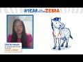 I Know a Zebra - Langerhans cell histiocytosis (LCH)