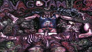 Intense Hammer Rage - Avagoyamugs (FULL ALBUM | 2001)