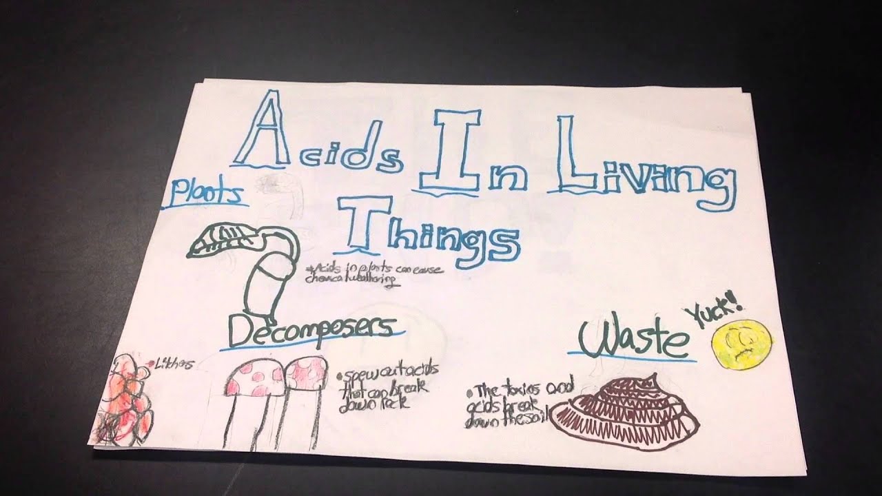 mechanical and chemical weathering lessons tes teach mechanical and chemical weathering venn diagram