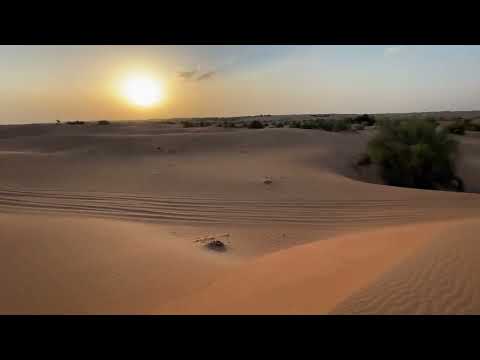 #Dubai Desert Conservation Reserve | Al Maha Desert Resort & Spa | walking in dunes during sunset 🌅.