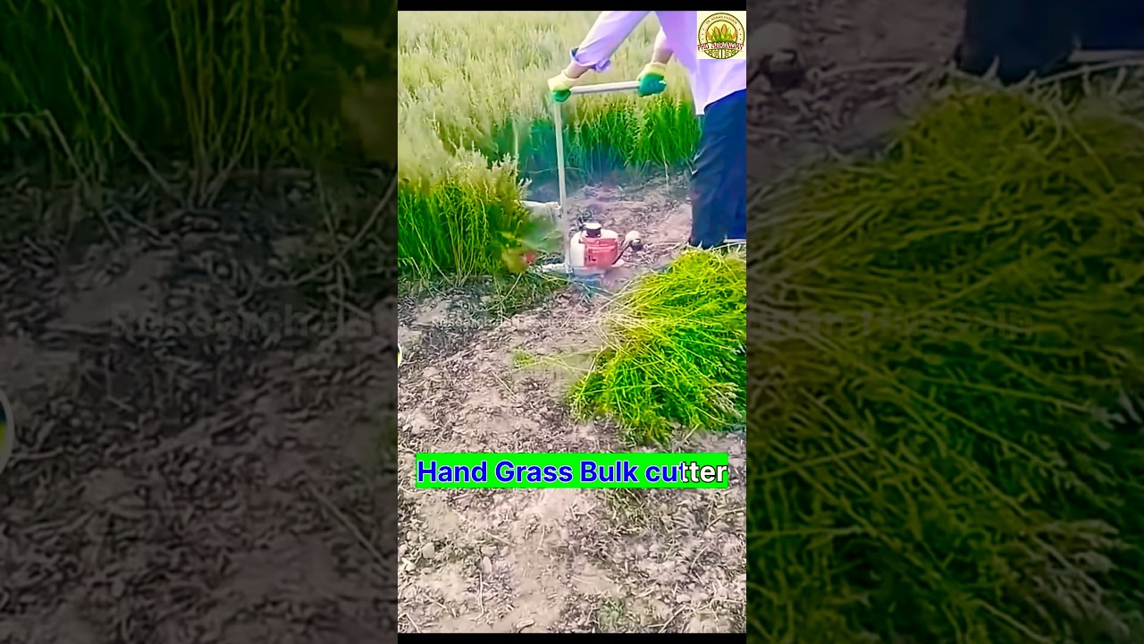 Special bulk grass hand cutter with automatic engine system 
