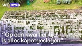Thumbnail for Schade door hagelbollen zo groot als golfballen