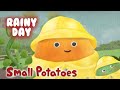 Small Potatoes - Facts About Rain | Songs for Kids