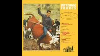 Tears O&#39; Plenty - Parquet Courts