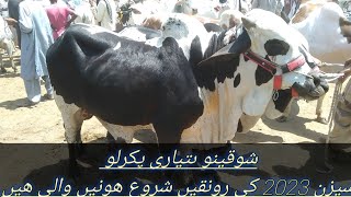 Bakra Eid 2023 ki Ronaqein shoro hogai Bhai log