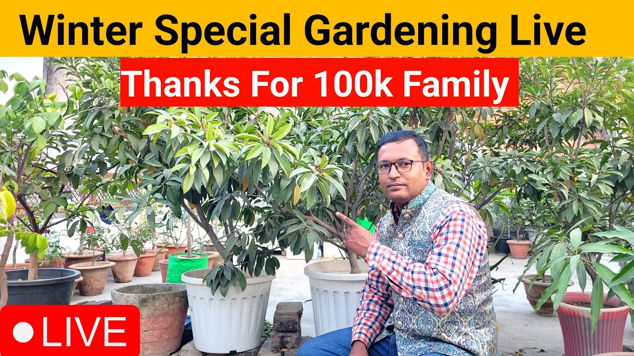 Winter Special Gardening Live | Thanks For 100k Family