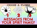  messages from your spirit family to help you right now  whats coming in timeless pickacard