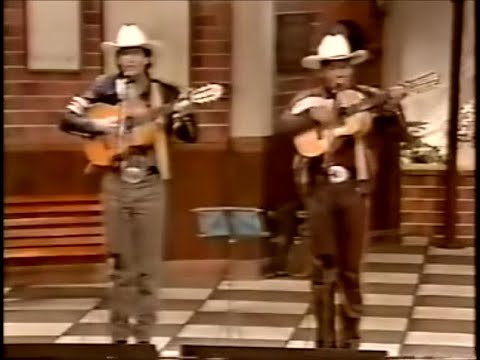 Goiano E Paranaense -  A Viola E A Saudade E Grito De Liberdade ( Viola Minha Viola - 1994)