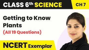 Getting to Know Plants - Concepts/All Questions Solved | Class 6 Science Chapter 7 NCERT Exemplar