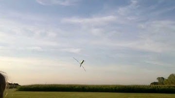 Mauro Azzalin TREX 700E Vallegaffaro 2013