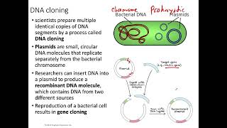 20 - DNA tools and Biotechnology