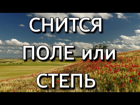 Снится поле пшеницы или цветов, к чему видеть степь и большие просторы во сне? | Толкование снов