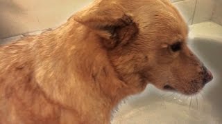 Bath Time! - Our Boring Lives
