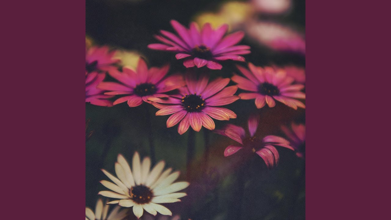 Watch Laid-Back on YouTube Watch Laid-Back on YouTube