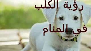 تفسير رؤية الكلاب في المنام - قناة تفسير الاحلام tafsir ahlam - الكلب في المنام - tafsir ahlam