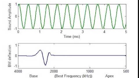 Basilar Membrane Motion 0 A frequency modulated tone