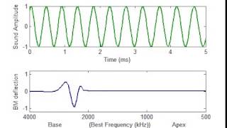 Basilar Membrane Motion 0 A Frequency Modulated Tone