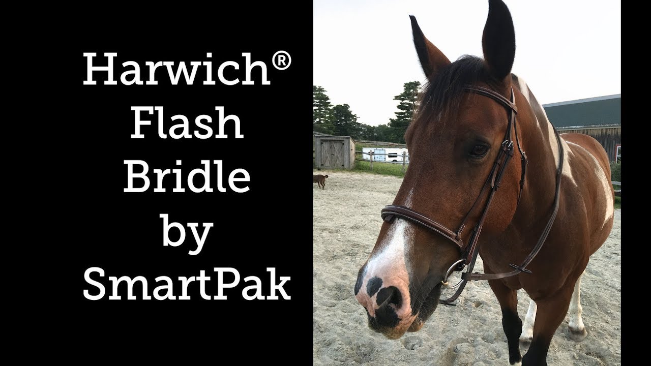 Harwich® Flash Bridle by SmartPak Review