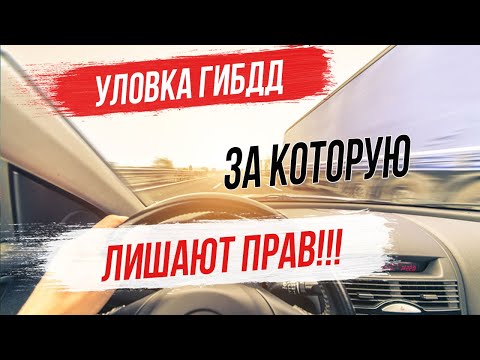 Видео: 15 знака, които сте научили да пиете в Калифорния - Matador Network