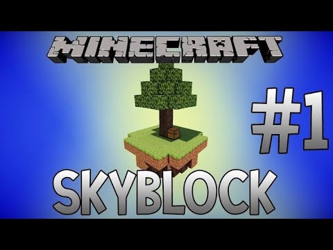 1 block skyblock server ip