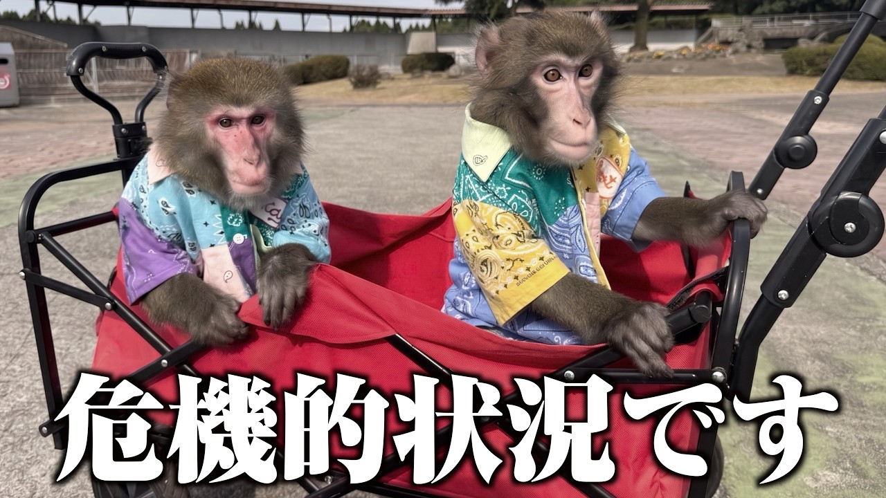 「令和8年熊本地震」のせいで困った事になっています…助けてください…