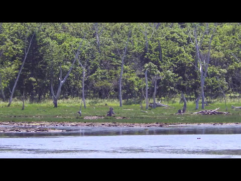 '14/GL1800北海道ツーリング（知床〜釧路）