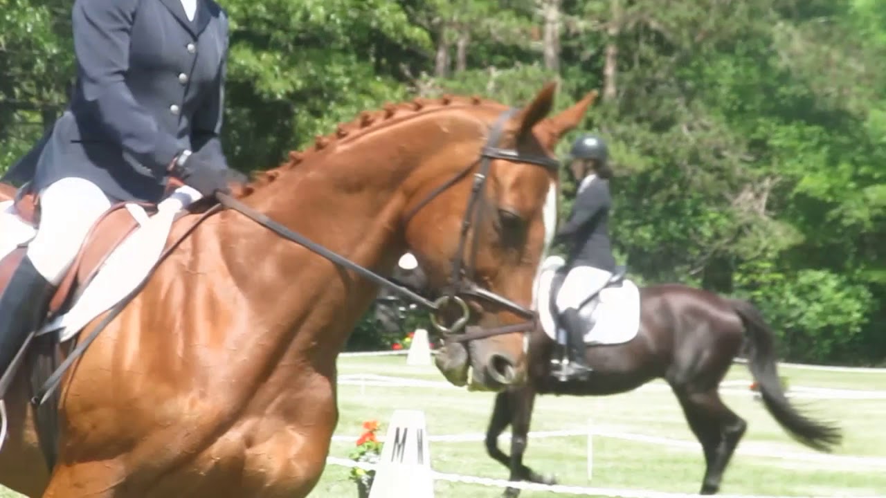 groton house farm horse trials 2018
