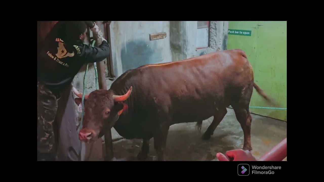 Bakrid 2022 kot khudurun vacoas