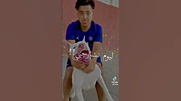 نلبس لاريني 