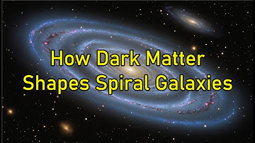 How Dark Matter Shapes Spiral Galaxies