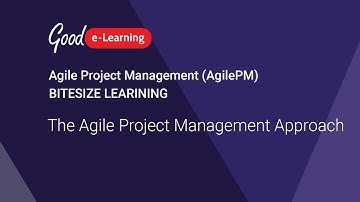 AgilePM Bitesize Learning: The Agile Project Management Approach ( Agile Project Management)