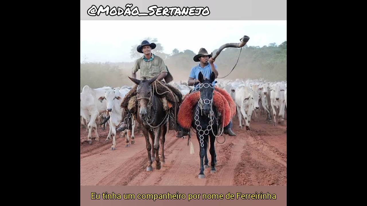 Tião Carreiro e Pardinho - Morte de Ferreirinha (LETRA)