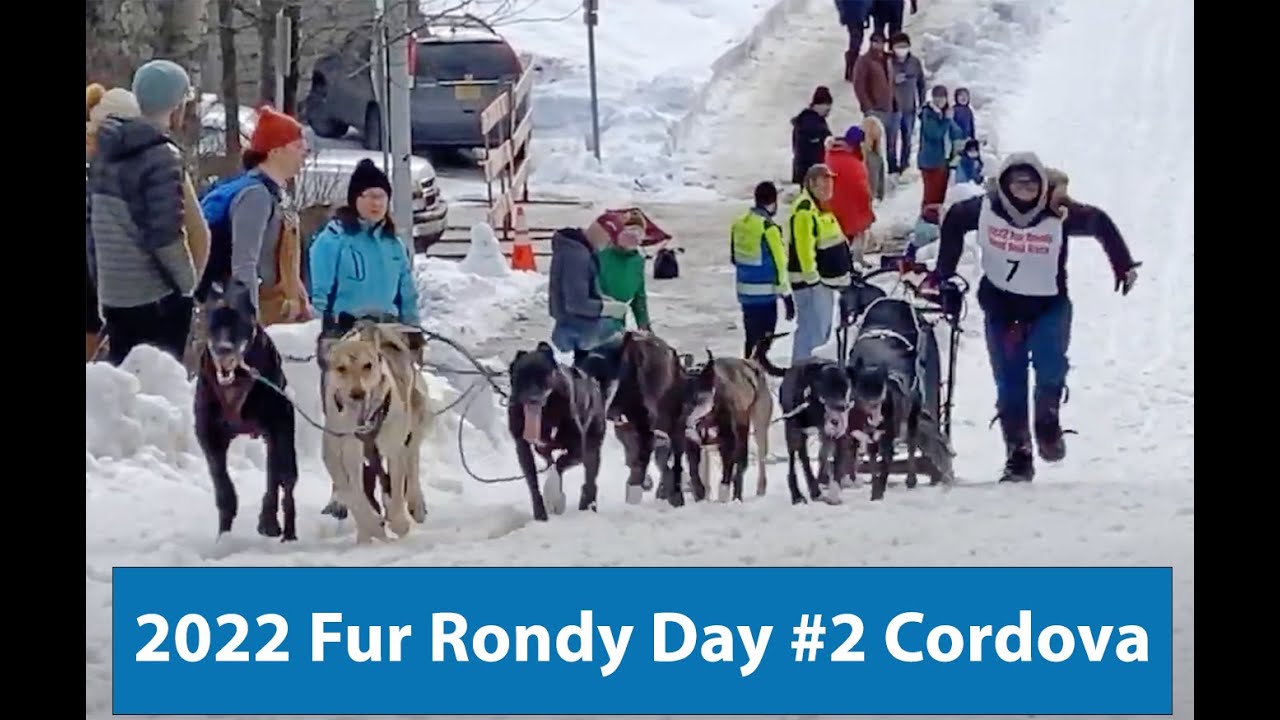 Fur Rondy 2022 - Cordova Hill & 15th Ave Day #2 Open Class World ...