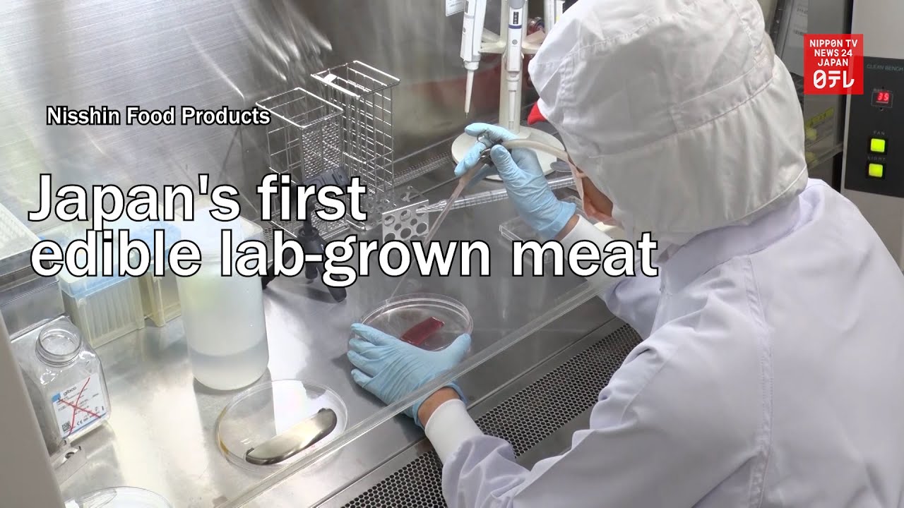 Japan's first edible lab grown meat YouTube