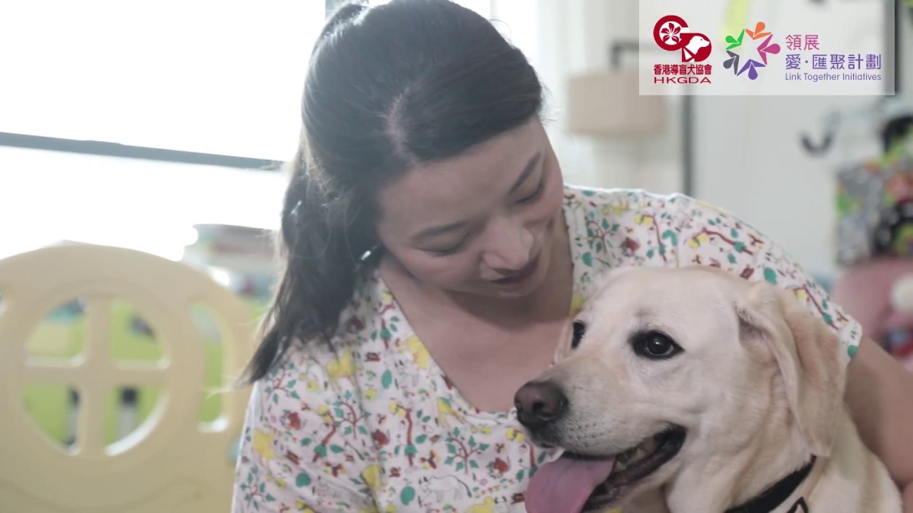 導盲犬的一生 Journey of a Guide Dog