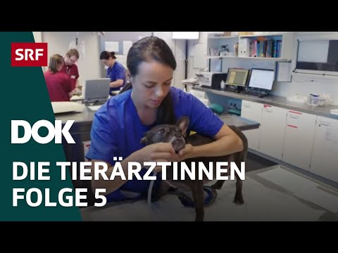 Video: Warum Bleiben Manche Tierärzte Trotz Der Realität Optimistisch?