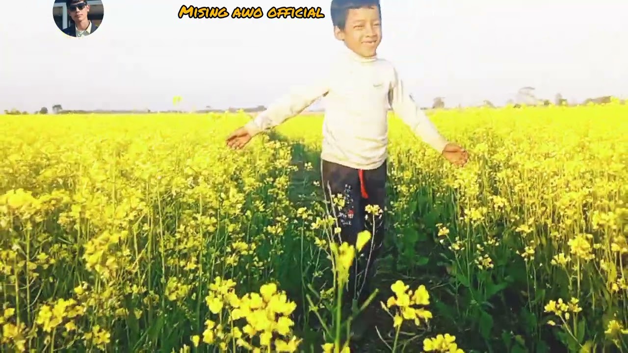 Mising awo official //mising cobar video//Harish kuli//