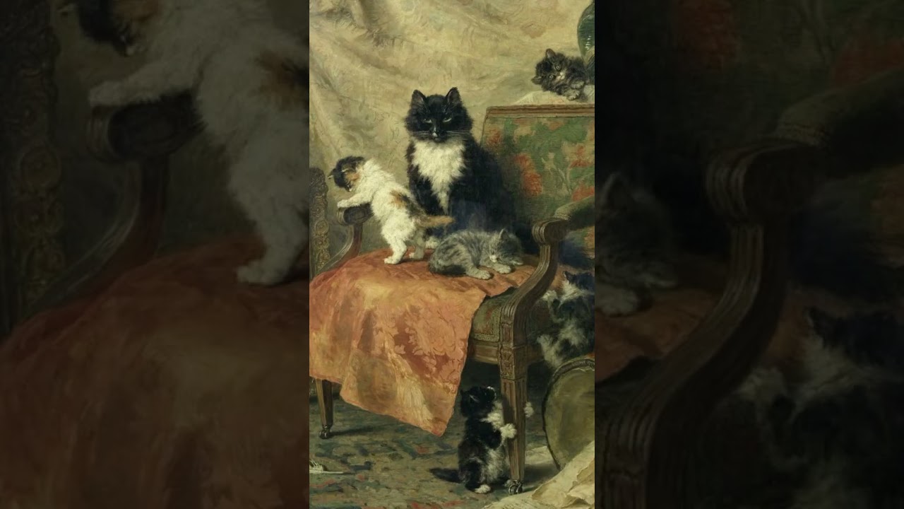 A Unique Vision of the Feline World