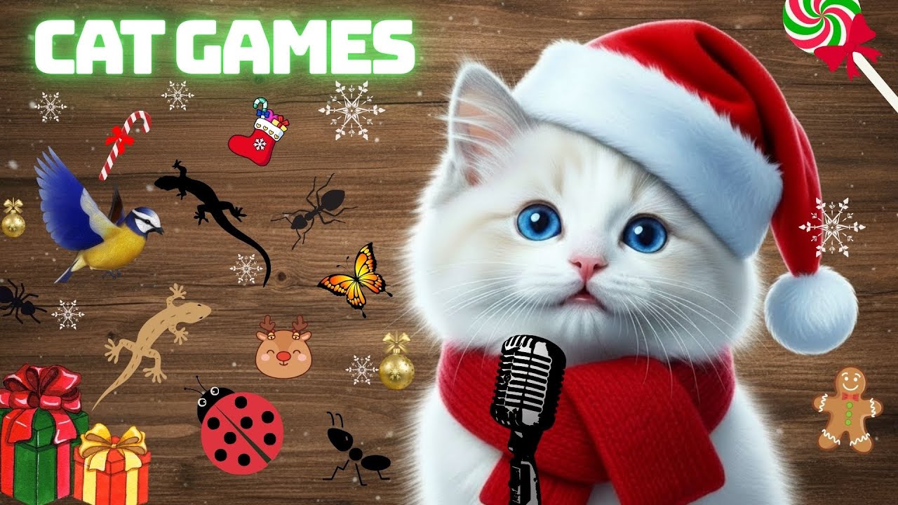 CAT GAMES I CAT TV Christmas Edition: Sudden Movements on Wooden Table🎄✨ (4K HDR)