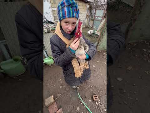 instasamka -за деньги да это я в дубае гуляю и танцую.