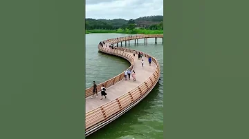 تمر بنا الأيام سرعة كأننا 