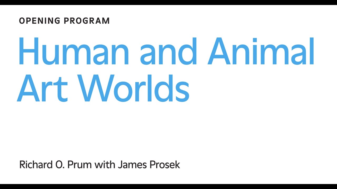 Human and Animal Art Worlds: Richard O. Prum with James Prosek