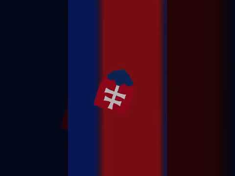 Visegrád Group edit